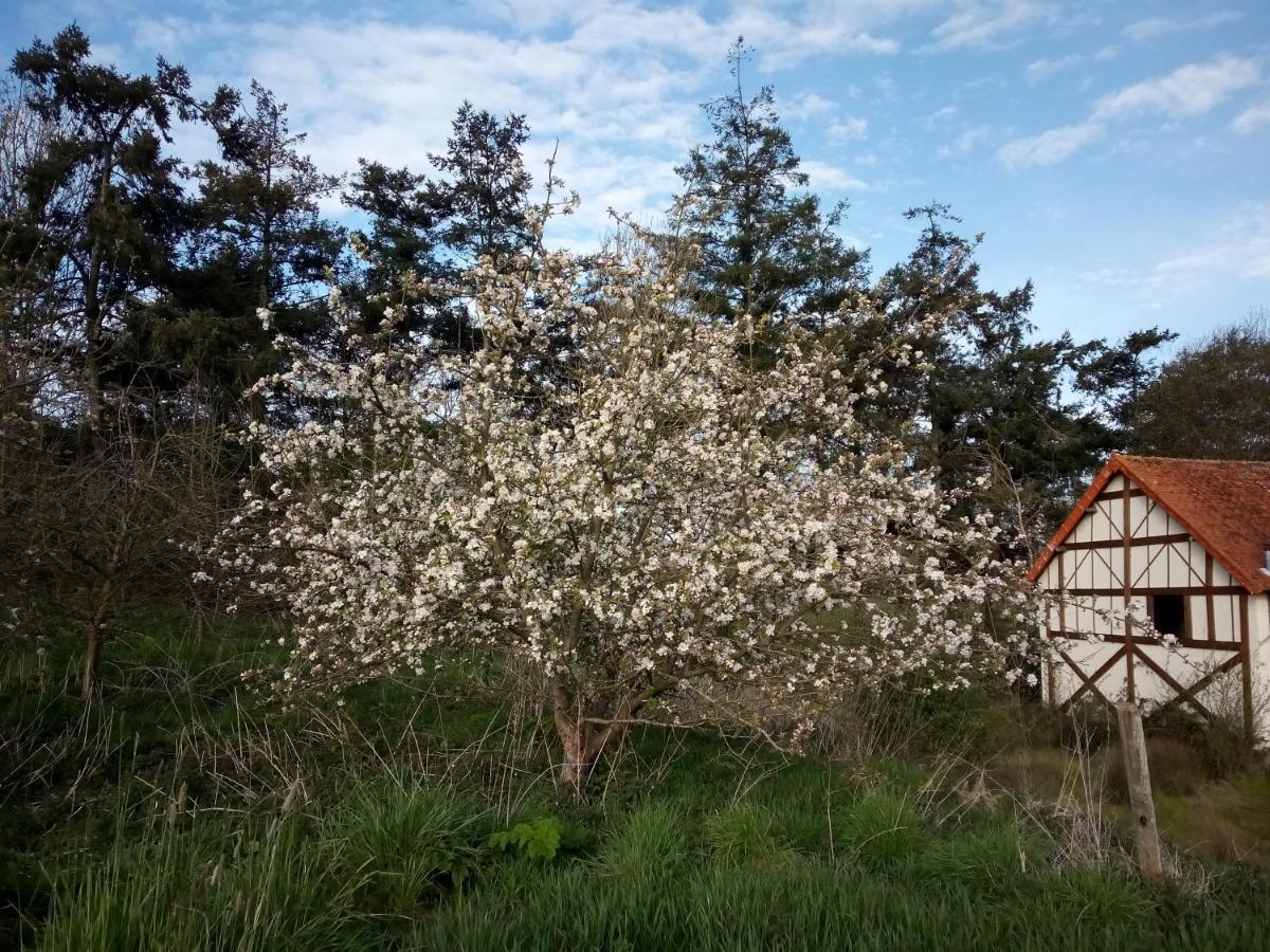 Le Chevalier Des Marettes Bed & Breakfast Airel Luaran gambar